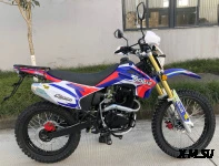 Мотоцикл ROLIZ SPORT-003 ZS172FMM-3A 250 cc с ПТС