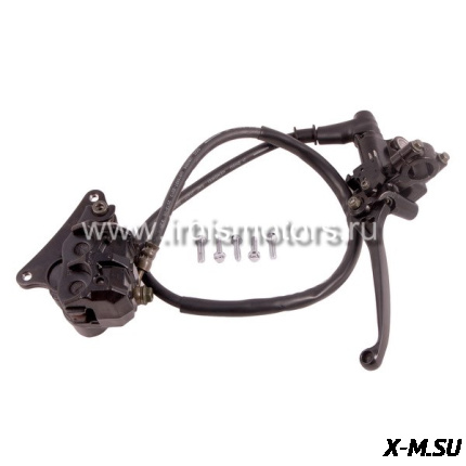 Тормоз дисковый передний в сборе GS200b