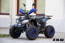 Квадроцикл UNIVERSAL ATV 125 TM Fusion plus