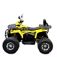 Квадроцикл Bison Fisher 125 Lux