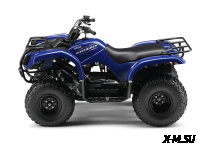 Квадроцикл Grizzly 125