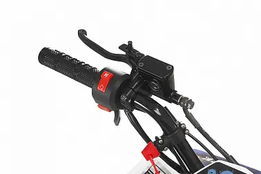 Квадроцикл Yacota Raposa 110