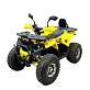 Квадроцикл Bison Fisher 125 Lux
