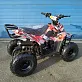 Квадроцикл RAPTOR 110
